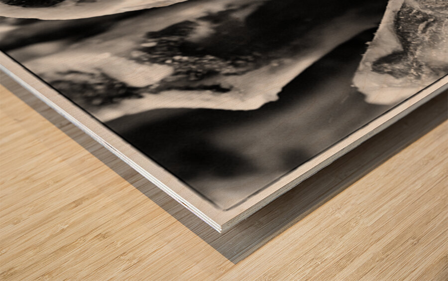 NO BONES ABOUT IT  Wood print