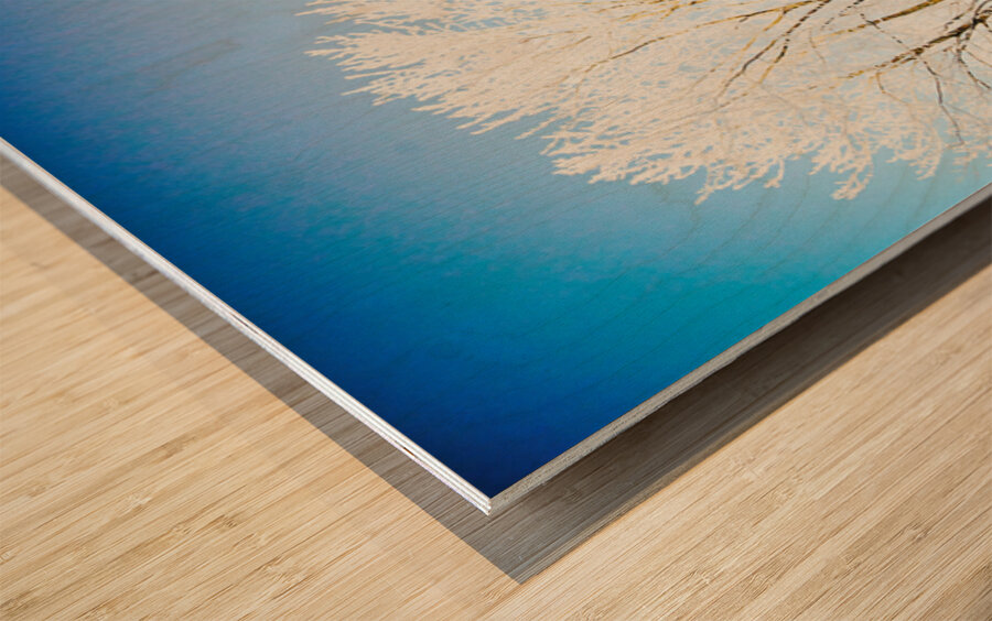 CRYSTAL Wood print