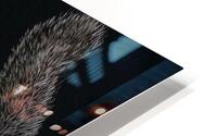 Thats A Stretch HD Metal print