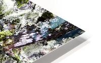 Winter Moss Washington State HD Metal print