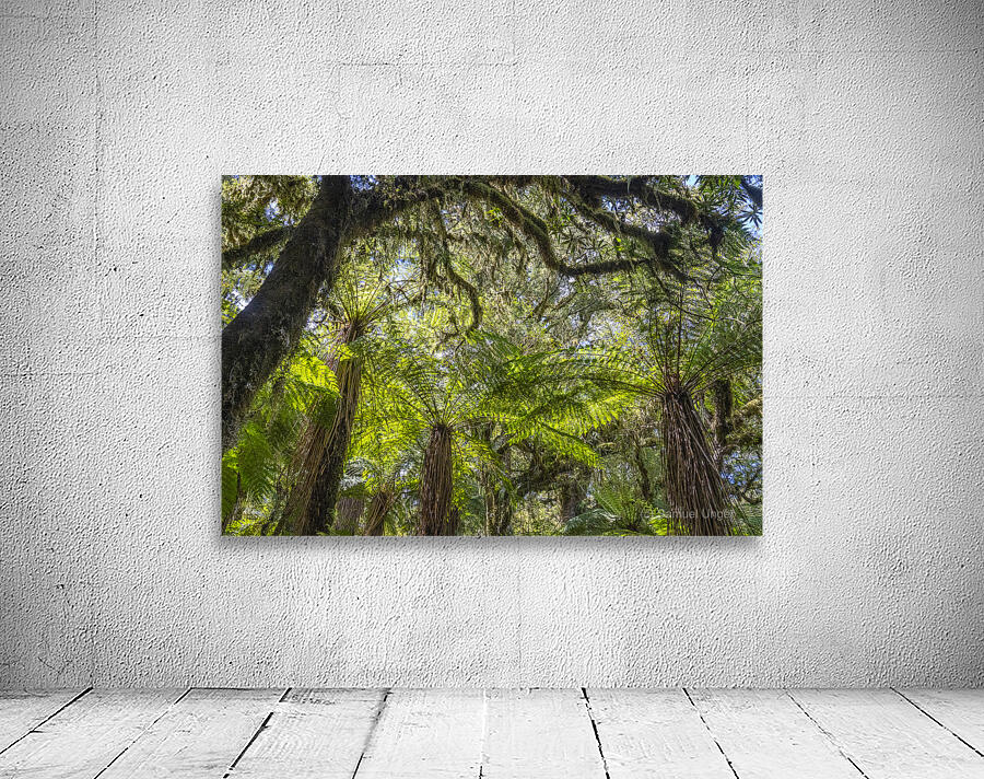 Fern Forest  Wall Preview