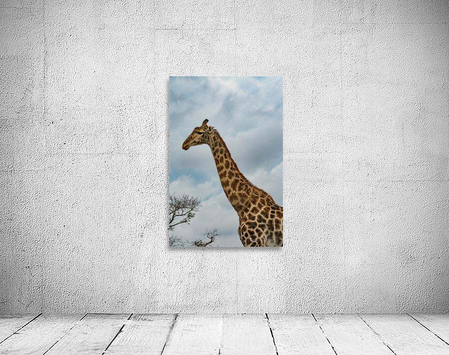 Giraffe Welcome Wall Preview