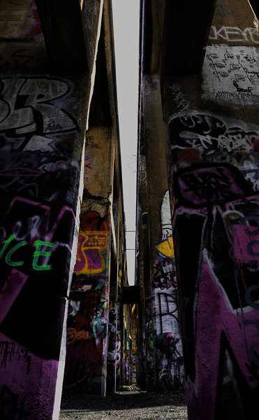 The Isle Digital Download