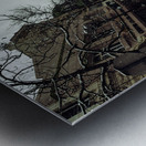 Icy Road Metal print