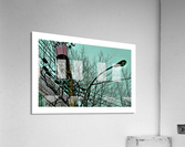 WILSON Acrylic Print