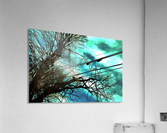FIELDING 2 Acrylic Print