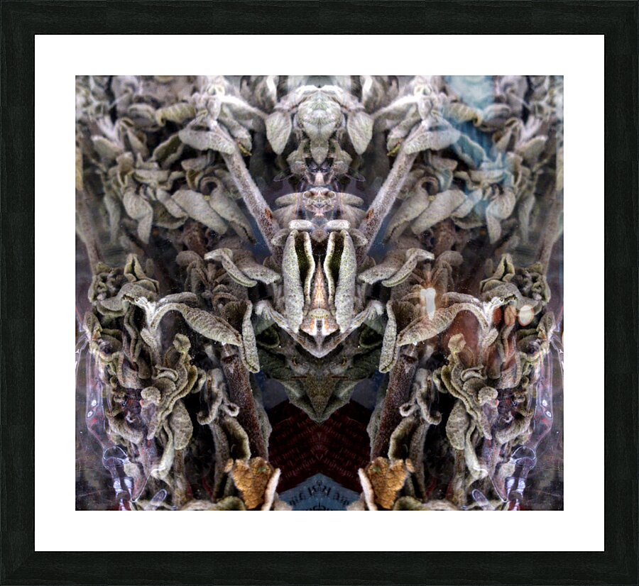 KUNG FU Picture Frame print
