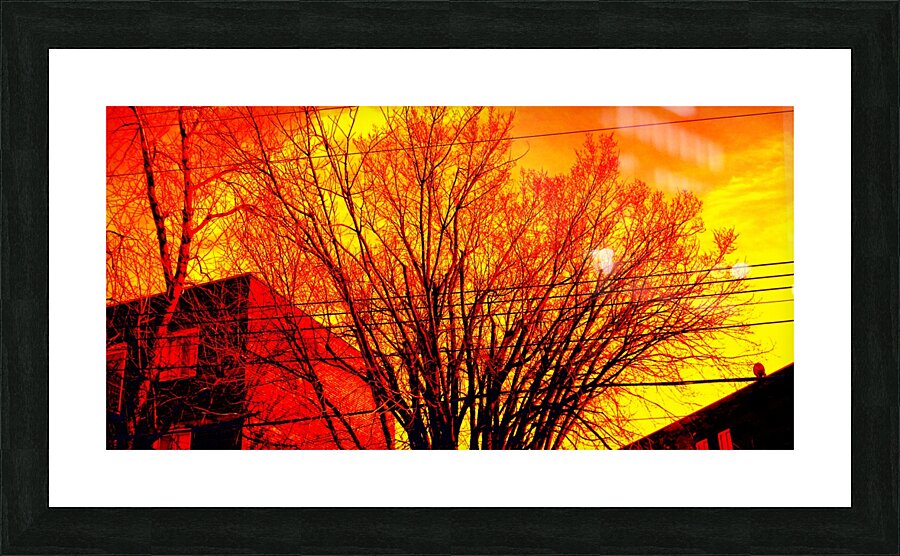 HARLEY Picture Frame print