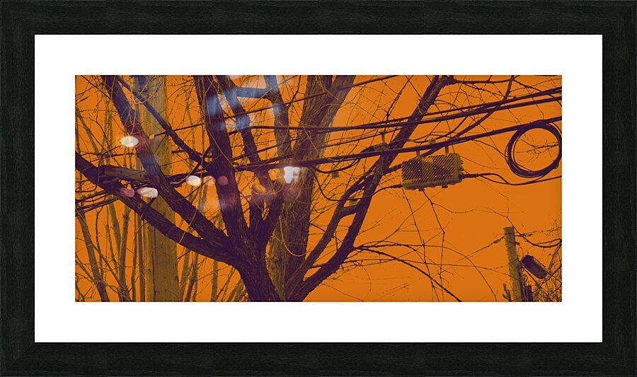 COOLBROOKE Picture Frame print