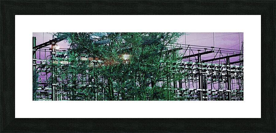 SAUVE Picture Frame print