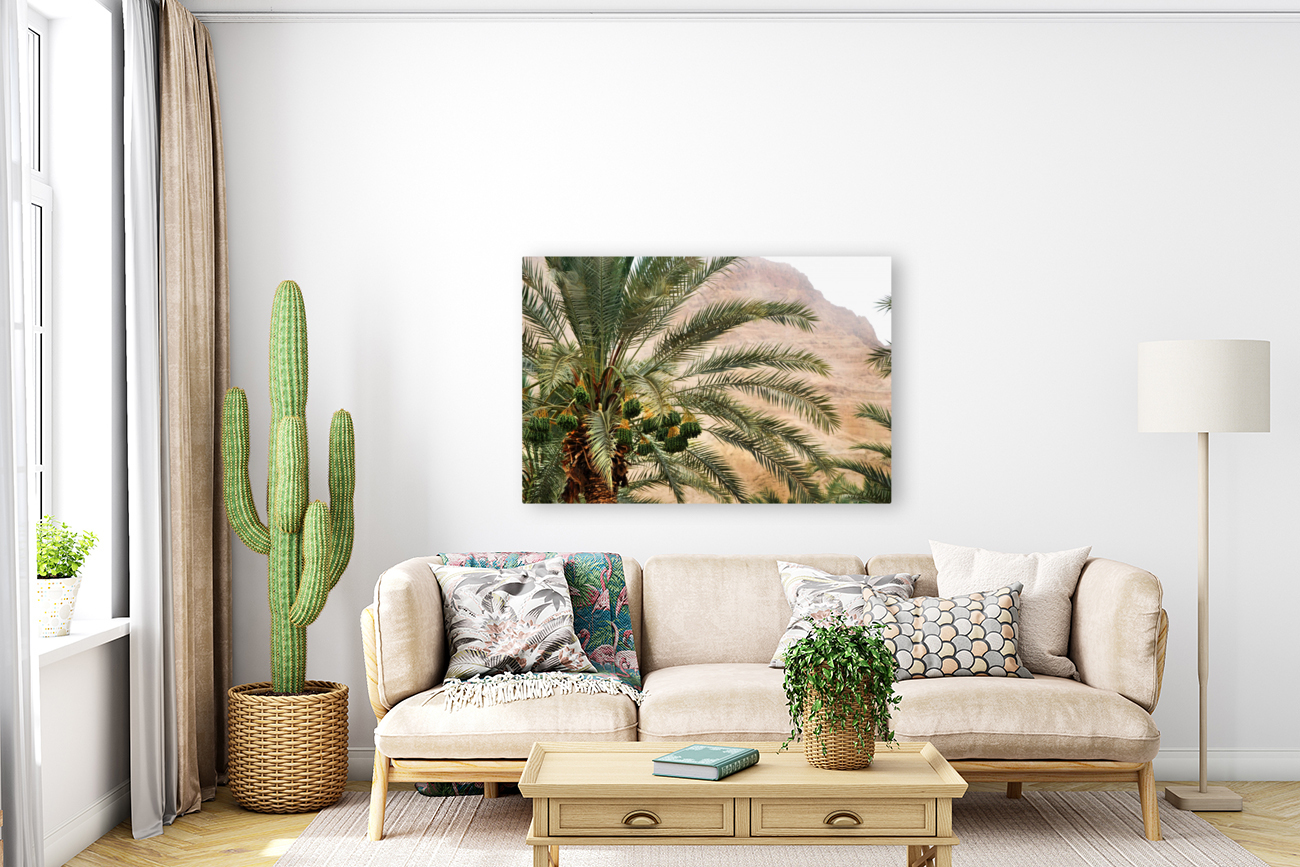 DATE PALM Reproduction