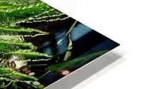 JUNGLE FEVER HD Metal print