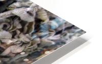 KUNG FU HD Metal print