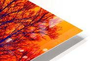 CHESTER HD Metal print
