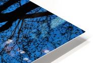TRENHOLME HD Metal print