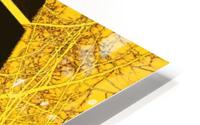 KENSINGTON HD Metal print