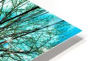 TERREBONNE HD Metal print