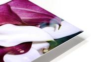 ORCHIDS HD Metal print
