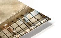 LUCA SEPIA HD Metal print