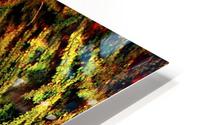 MARY JANE HD Metal print