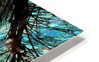 THE VIRGIN CHRONICLES HD Metal print
