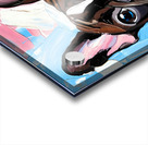 Smiling Brindle French Bulldog Pop Art Portrait Acrylic print