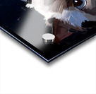 Blue-Eyed Ragdoll Cat Portrait Digital Painting Acrylic print