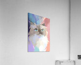 Sweet Ragdoll Cat Portrait - Bright Blue Eyes and Pastel Abstract Art Acrylic Print