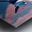 Sleek Blue and Pink Ragdoll Cat Portrait Art Metal print