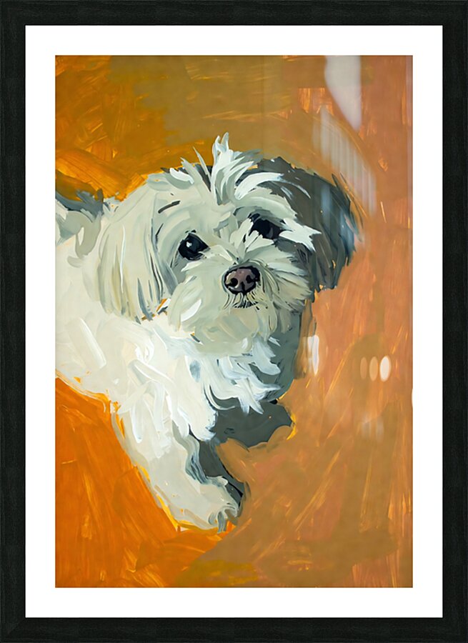 Expressive White Maltese Shih Tzu Dog Portrait Picture Frame print
