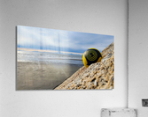 Spikeball Acrylic Print