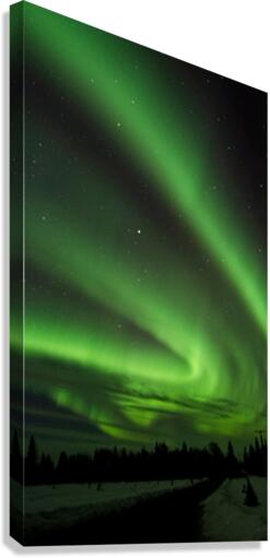 Alaska Sky Show Canvas Print