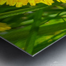 Bee Metal print
