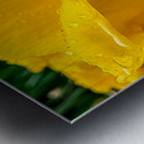 Yellow Flower Metal print