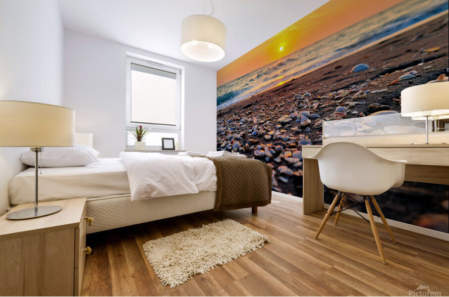 Sea Shells Mural print