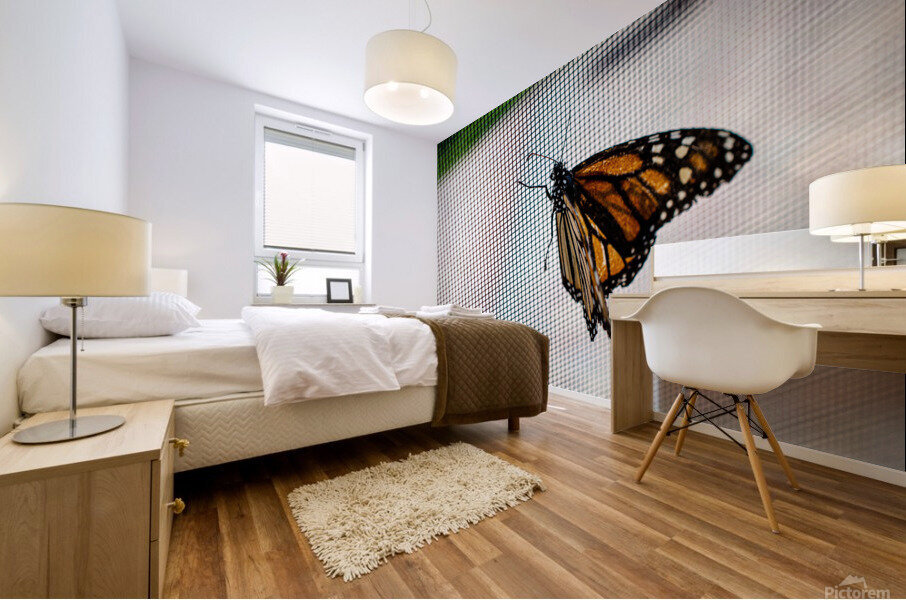 Monarch Butterfly Mural print