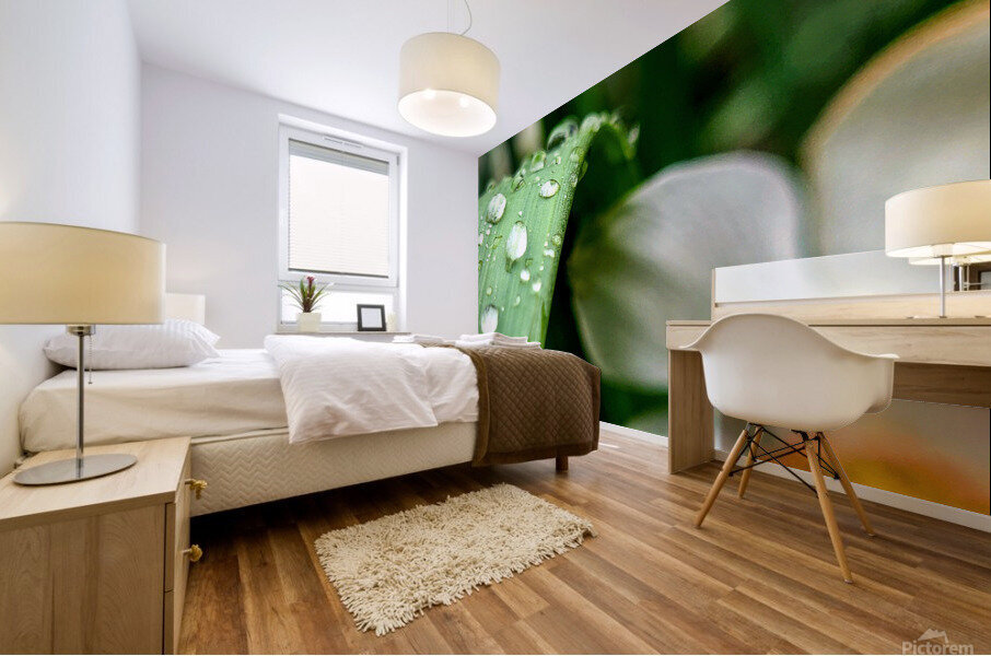 Water drops Mural print