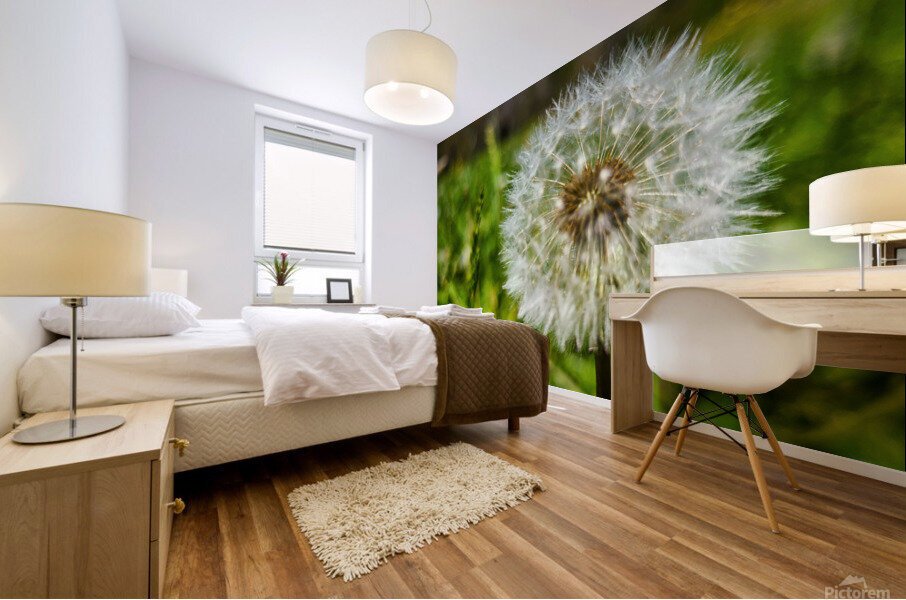 Dandelion Mural print