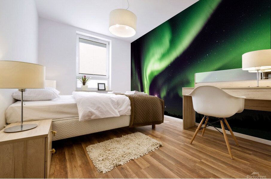 Aurora Mural print
