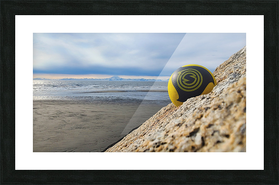 Spikeball Picture Frame print