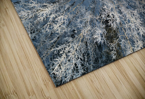 Snowy Trees AlaskanBoy puzzle