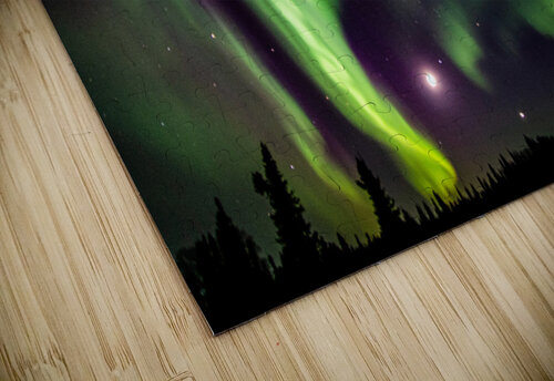 Aurora AlaskanBoy puzzle