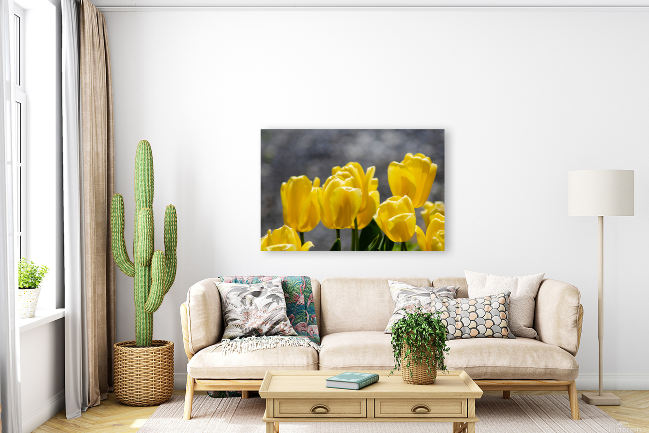 Yellow Tulips Reproduction