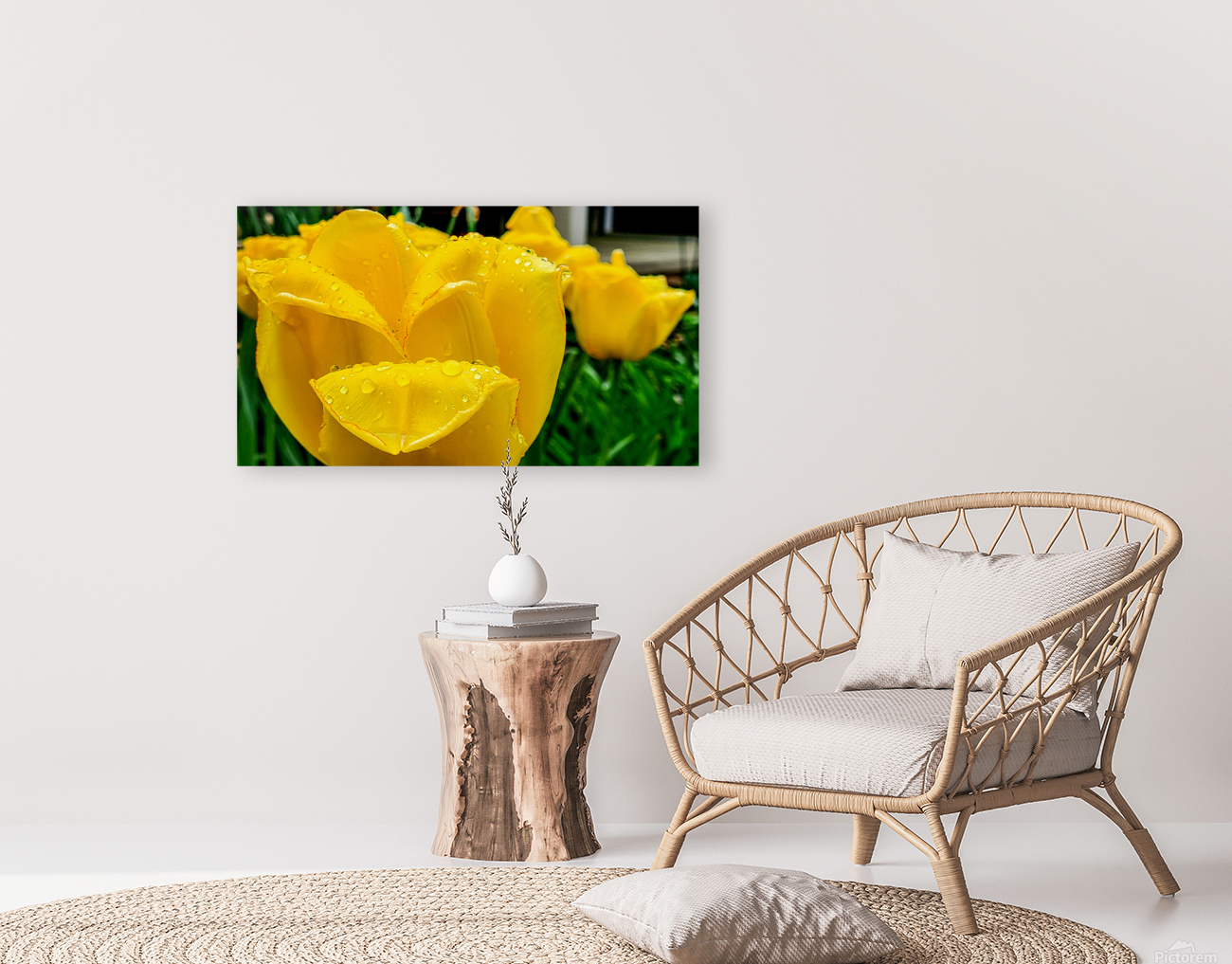 Yellow Flower Reproduction
