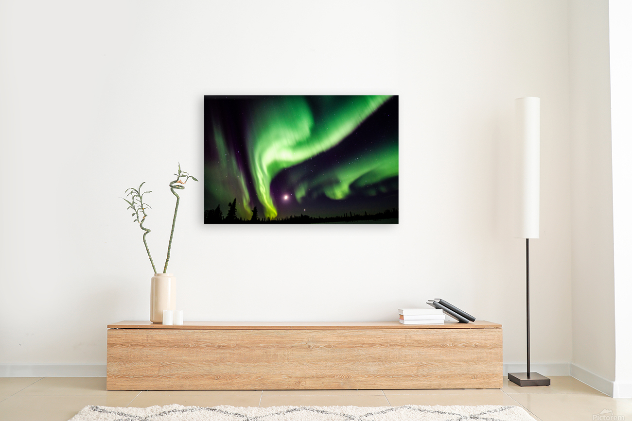 Aurora Reproduction