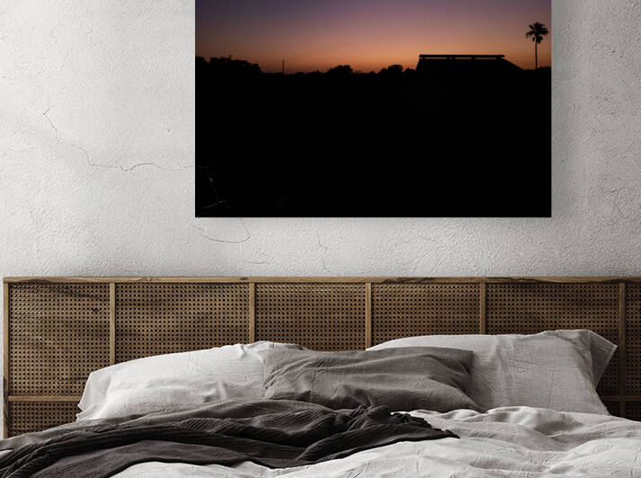 Silhouetted  Reproduction