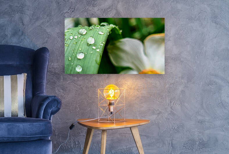 Water drops Reproduction