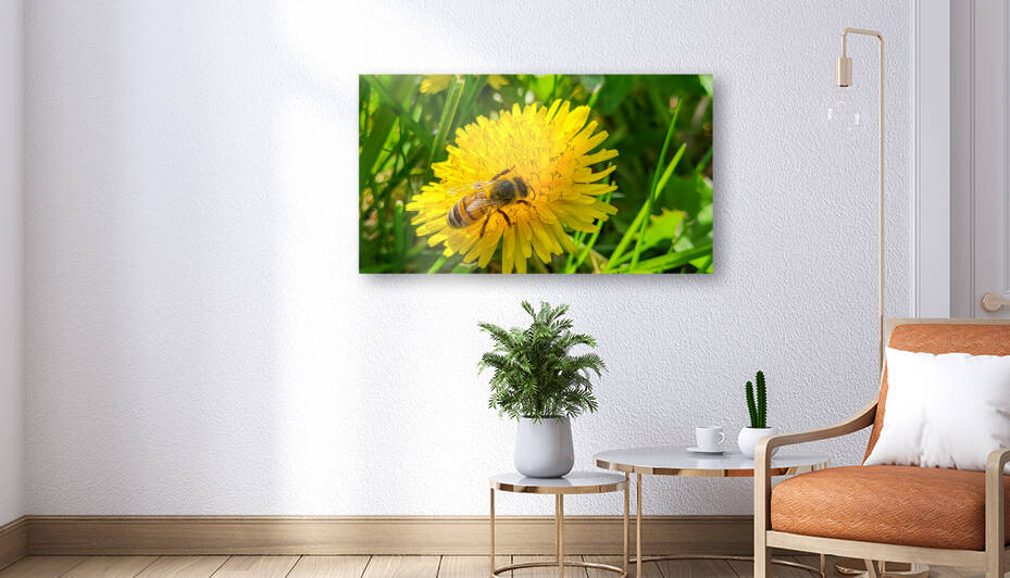 Bee Reproduction