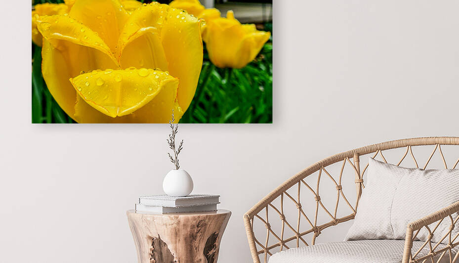 Yellow Flower Reproduction