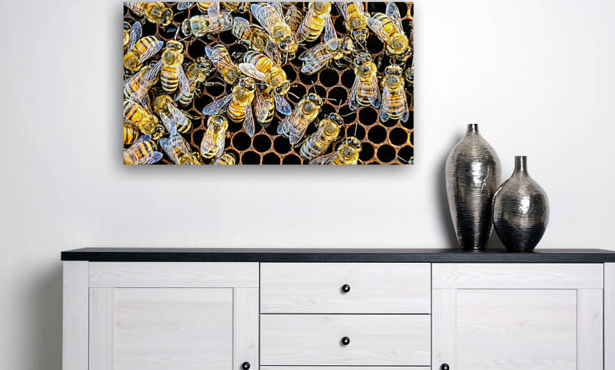 Cluster of Bees by AlaskanBoy